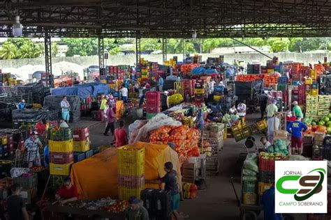 Motivos Para Escolher A Ceasa Distribuidora De Bebidas Como Sua Op O