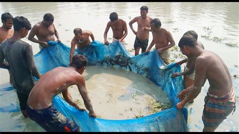 নদত জল দয মছ ধরর অসধরণ দশয Traditional net fishing in