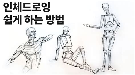 인체 드로잉을 쉽게 그리는 방법 인체 크로키 기초 드로잉 수업 Basic drawing YouTube