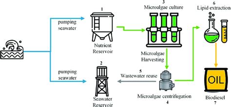 Algae Biofuel Process