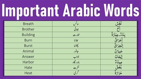 Important Arabic Words You Need To Know Arabic Vocabulary Youtube