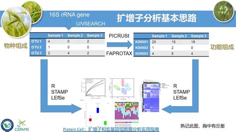 扩增子和宏基因组数据分析流程和可视化方案—刘永鑫 南京，2020年11月27日） Csdn博客