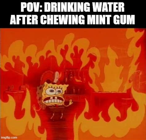 Burning Spongebob Memes - Imgflip