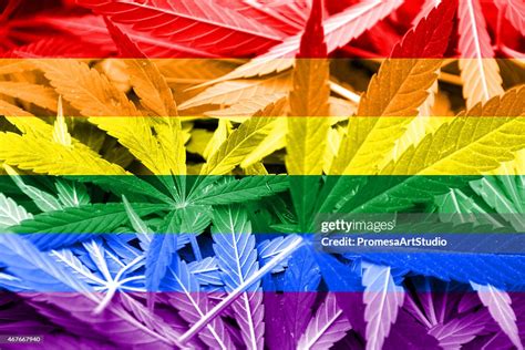 Rainbow Flag On Cannabis Background Drug Policy Legalization Of