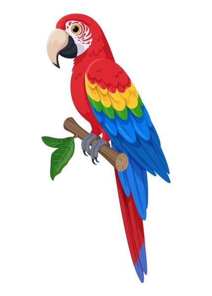 Guacamayo escarlata sentado en una ilustración vectorial rama Gran