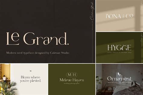 The Sans And Serif Font Bundle Sale On Behance