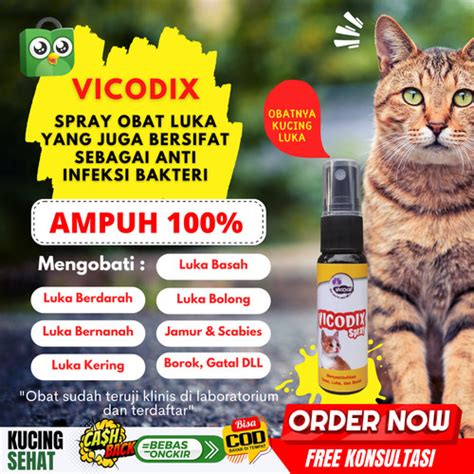 Jual Vicodix Obat Luka Kucing Mengobati Semua Jenis Luka Luar Pada