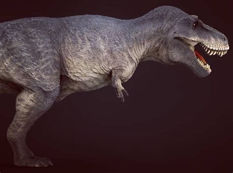 Robert John Fabiani Jr On Instagram “scotty The Tyrannosaurus Rex Tyrannosauridae Rexy