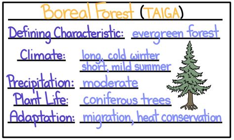 Polar Biomes — Tundra & Taiga - Expii