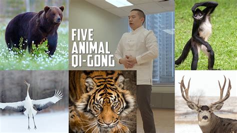 The Five Animals Qi Gong – Exercises that Strengthen Your Mind and Body