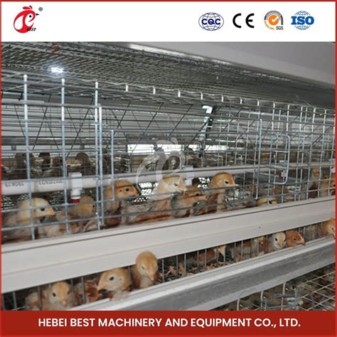 Bestchickencage H Frame Broiler Cages China Chicken House Coop