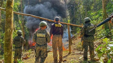 Dlcn Y Elementos De La Ffaa Destruyen Plantaci N De Arbustos De Hoja De