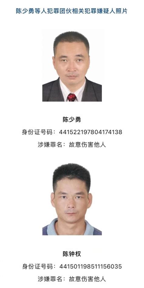 汕尾警方征集陈少勇团伙违法犯罪及“保护伞”线索！照片公布 南方网