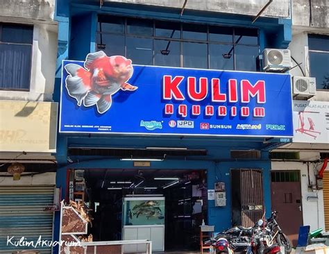 TOP 6 Kedai Aquarium Kulim Terbaik