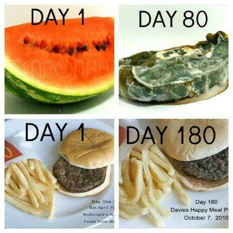 If Food Doesnt Rot Or Spoil Dont Eat It Fooducate Diet Motivation