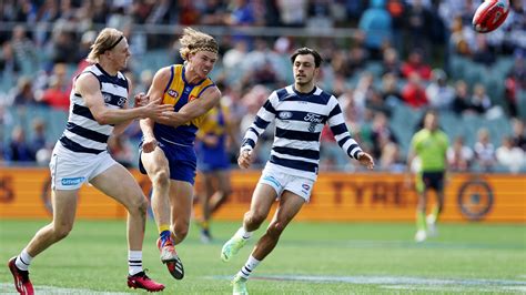 Geelong Cats Vs West Coast Eagles Tips And Preview Cats To Dominate The