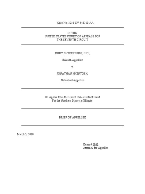 Appellant Brief Template