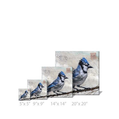 Big Cheese Productions Messenger Blue Jay Giclee Wall Art On Canvas By