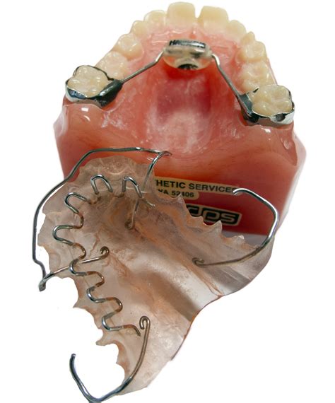 Orthodontics Dental Prosthetic Services