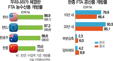 한중fta 발효 1년 거침없는 中의 ‘산업굴기韓 수출효과는커녕 안방마저 내줄 판 서울경제