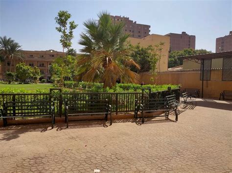 Un Instituto Educativo En Egipto Con Un Edificio Asombroso Foto Premium