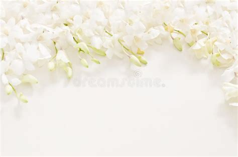 Image of funeral. An image of a funeral in the background white flower ...