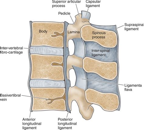 Lumbar Epidural Spinal Injection