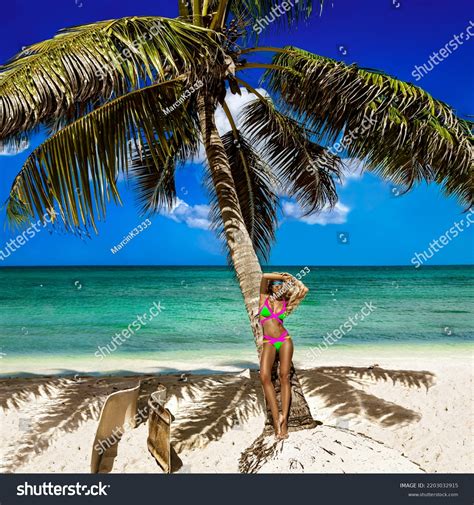 Beautiful Sexy Tanned Woman Elegant Bikini Stock Photo 2203032915 Shutterstock