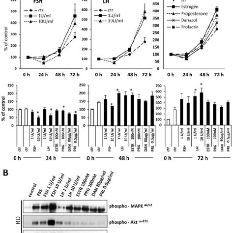 Sex Hormones Increase Proliferation And Induce Signal Transduction In Download Scientific