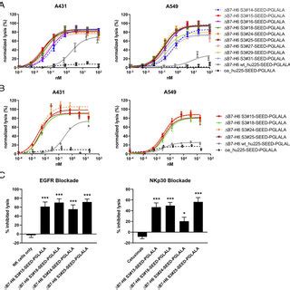 Cytotoxic Activity Of Affinity Optimized Db H Based Nk Cell Engager