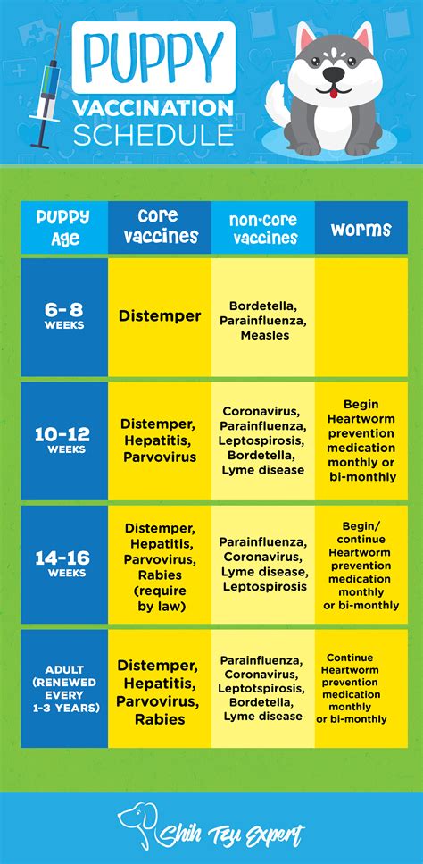 Puppy Vaccination Schedule | Examples and Forms