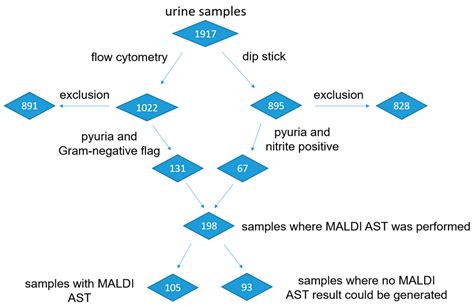 Antibiotics Free Full Text Rapid Antibiotic Susceptibility Testing