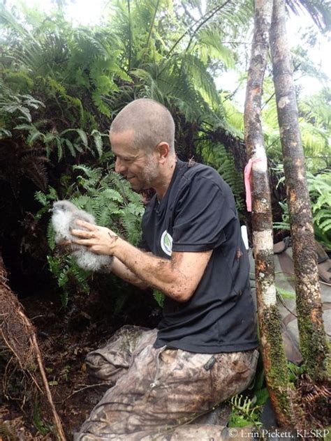 Saving Endangered Hawaiian Seabirds On Kauaʻi Kauaʻi Endangered