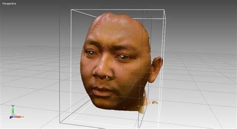 Three Dimensional Model Of Human Face Download Scientific Diagram