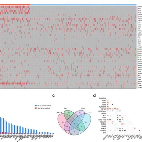 Genomic Landscape Of Acute Myeloid Leukemia Aml A Gene Mutations