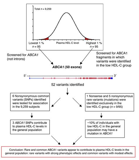 JCI Do DNA Sequence Variants In ABCA1 Contribute To HDL Cholesterol