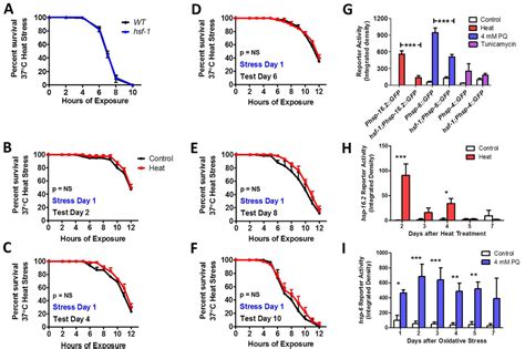 Aging Causes Decreased Resistance To Multiple Stresses And A Failure To