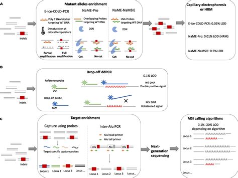 Sensitive Detection Of Microsatellite Instability In Tissues And Liquid