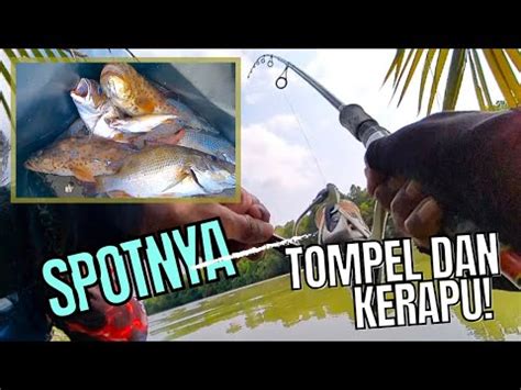 Mancing Kerapu Tompel Di Sungai Blega Madura Cakdowenk Mancingkerapu