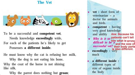 41 The Vet Poem Translation Explaination 8th Class English Subject