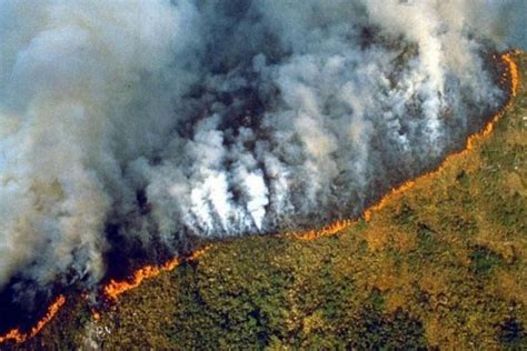 Las Imágenes Más Impactantes Del Incendio En El Amazonas Nueva Mujer