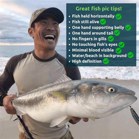 Responsible fish handling and photography tips – Recfishwest