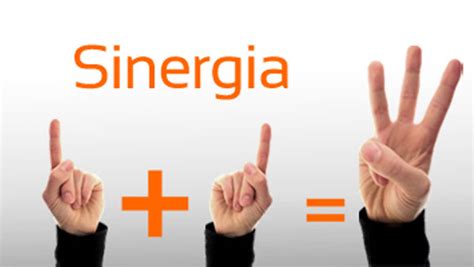 Sinergia Team Training