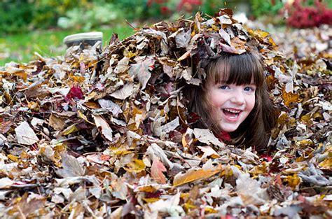 150+ Happy Kids Playing In A Pile Of Leaves Stock Photos, Pictures & Royalty-Free Images - iStock