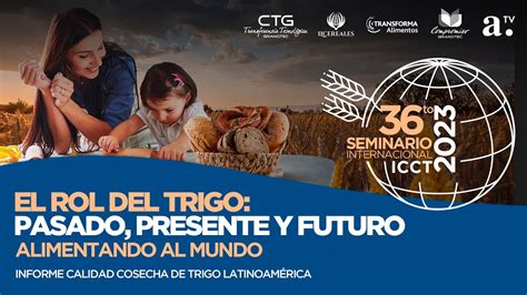 Trigésimo Sexto Seminario Internacional ICCT2023 YouTube