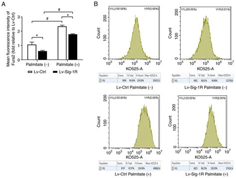 Effect Of Sig 1r Overexpression On The Intracellular Calcium Levels Of