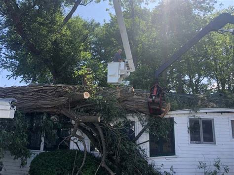 Tree Care And Bucket Truck Services In Rochester Ny Tom Maguire Tree Service