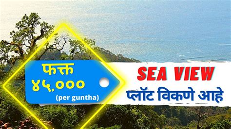 Sea View Land Kokan Sea View Plots Kokan Sea View Plots Konkan