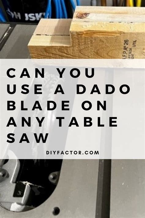 Can You Use A Dado Blade On Any Table Saw DIY Guide