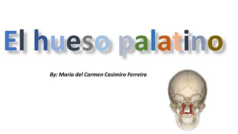 El Hueso Palatino | Maria Casimiro | uDocz